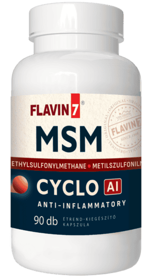Flavin7 MSM 90 kapszula