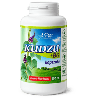 Kudzu +B6 kapszula 250 db 2+1 Akció